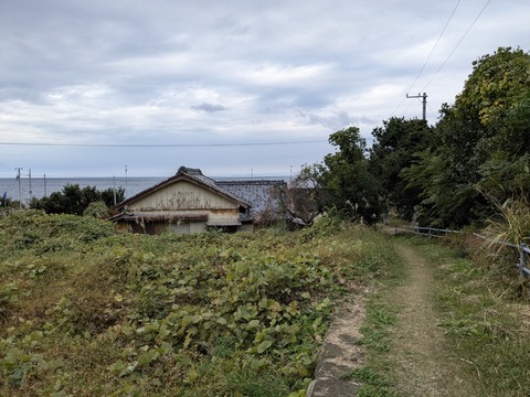 PXL_20251125_020446703