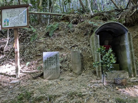 PXL_20241109_041741161