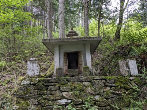 PXL_20240426_052623744