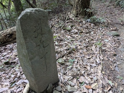 PXL_20251101_232652215