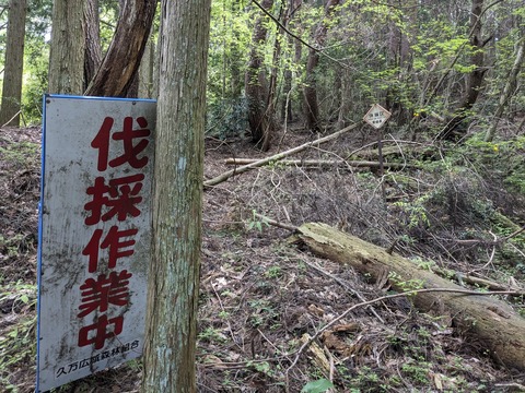 PXL_20240426_053713993