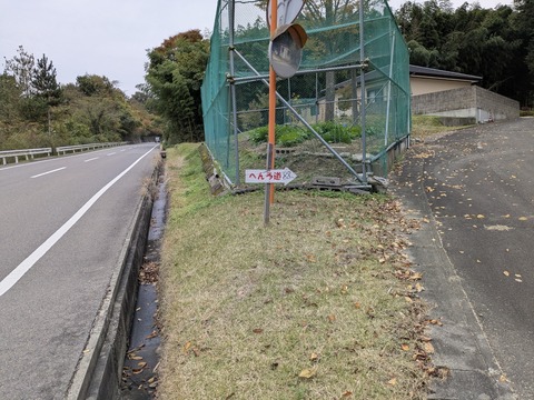 PXL_20251113_055256308