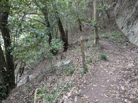 PXL_20251112_004533007