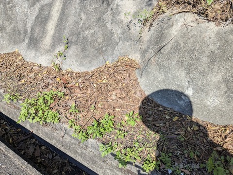 PXL_20251103_042715756