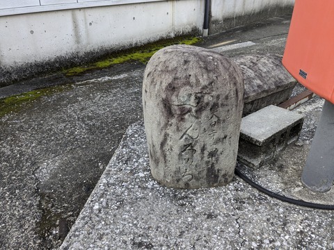 PXL_20240330_224823116