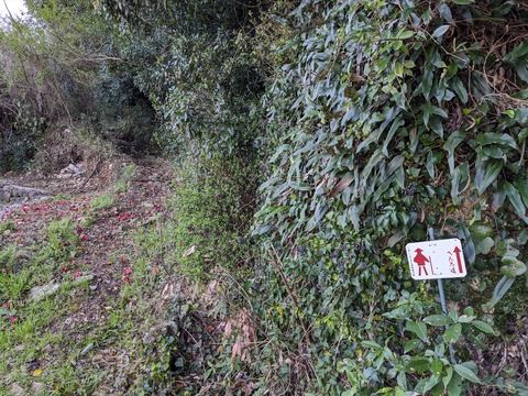 PXL_20240330_235713470