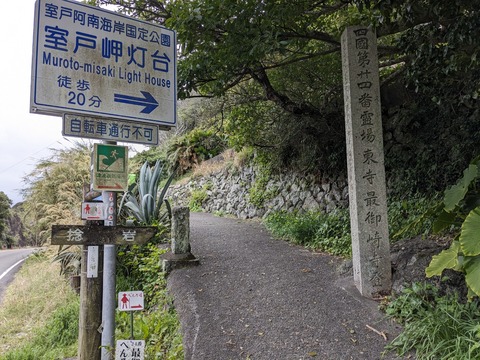 PXL_20240328_024141432