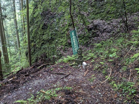 PXL_20240427_004413501.MP