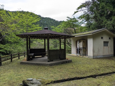 PXL_20240426_054921639