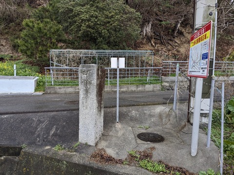 PXL_20240223_002737701