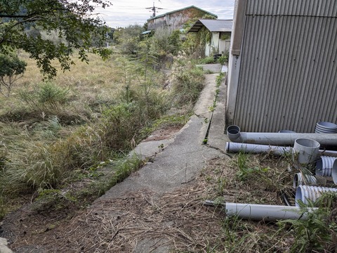 PXL_20241120_223943111