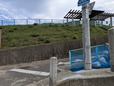 PXL_20251111_232234456