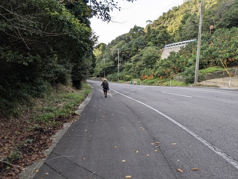 PXL_20241023_230457989