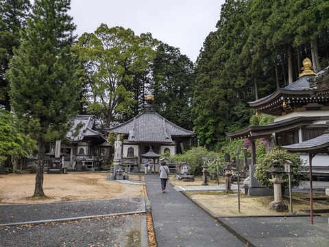 PXL_20240424_001456636