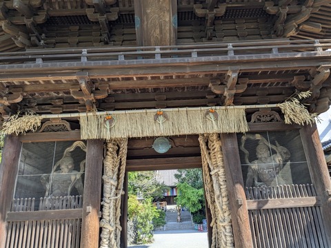 PXL_20250426_234952437