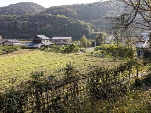 PXL_20251115_004632352