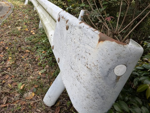 PXL_20251102_010650978