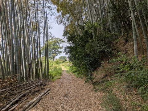 PXL_20250501_024720770