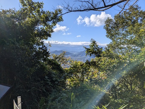 PXL_20241107_000811842