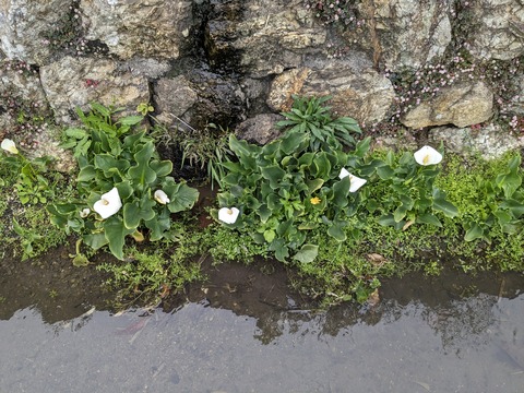 PXL_20240331_052804586