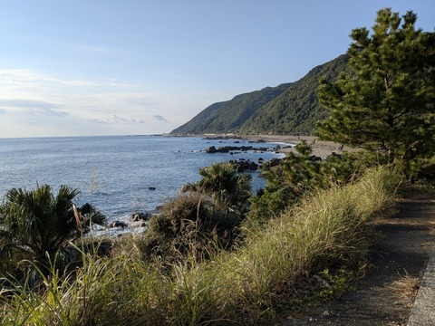 PXL_20251123_231614178