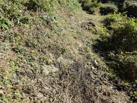 PXL_20241109_043512922