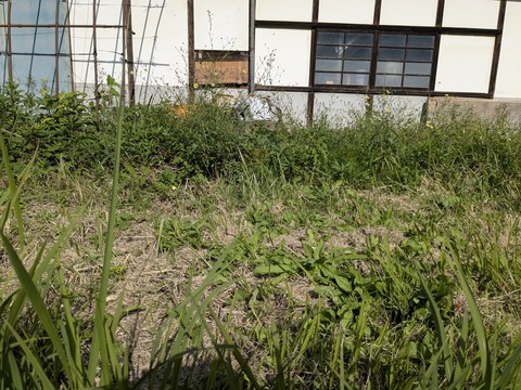 PXL_20251103_042025572