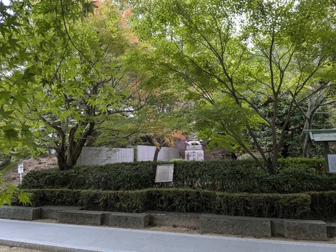 PXL_20241106_043832468