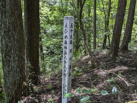 PXL_20240723_020710086