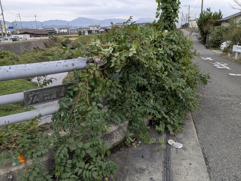 PXL_20251113_000753653