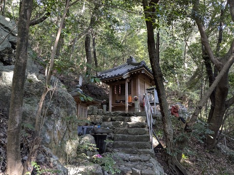 PXL_20251126_051149153