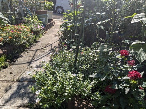 PXL_20240718_233509544