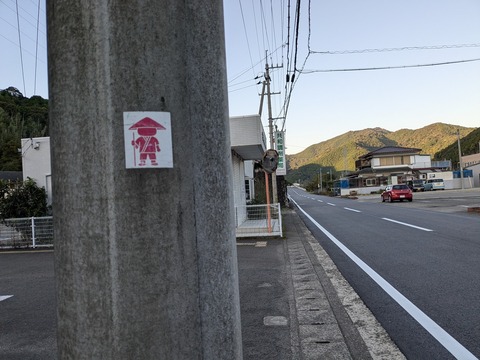 PXL_20241119_220912728