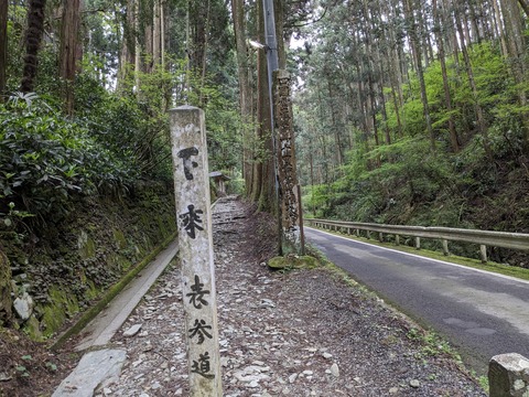 PXL_20240426_065547935.MP