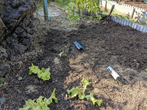 PXL_20251014_043757356