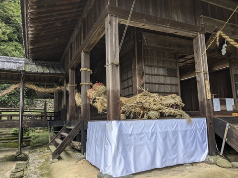 PXL_20240925_020825498