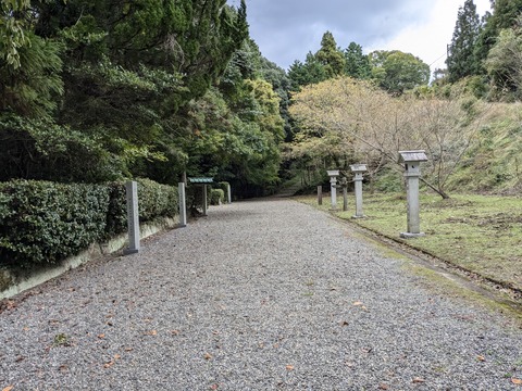 PXL_20241106_041359640