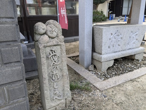 PXL_20241023_224852221