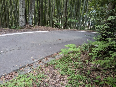 PXL_20240425_215611723