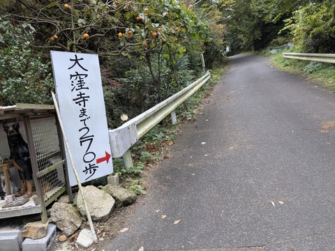 PXL_20251113_064734169