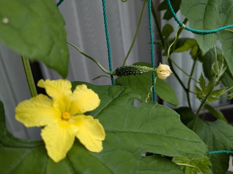 PXL_20250620_234542383