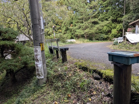 PXL_20251102_050632001