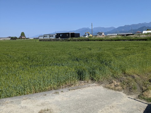 PXL_20250429_051310890