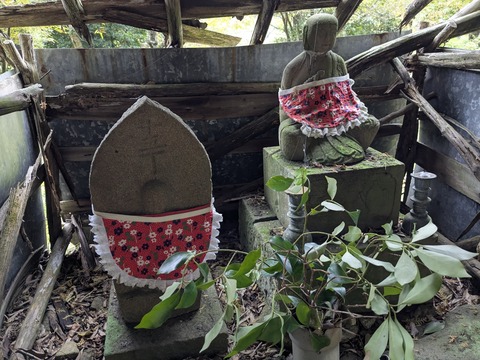 PXL_20251113_062652267