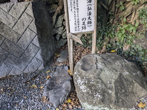 PXL_20241122_231404745