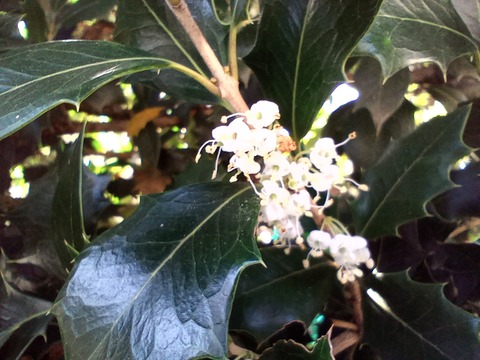 IMG_20211223_125255_811