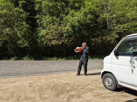 PXL_20250430_000405365