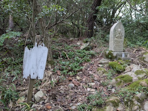 PXL_20250928_032319272