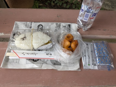 PXL_20251103_032838193