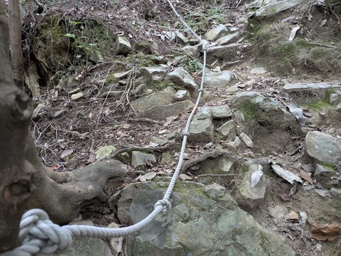 PXL_20250928_024846943